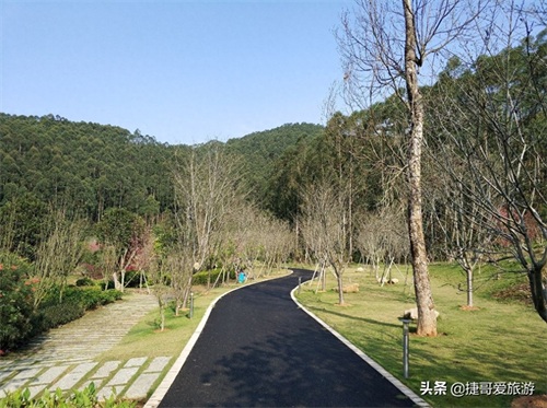 福建省 漳州市 长泰县 十里蓝山