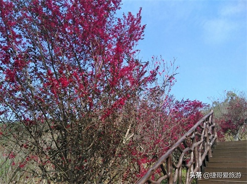 福建省 漳州市 长泰县 十里蓝山