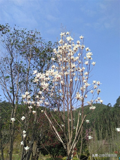 福建省 漳州市 长泰县 十里蓝山