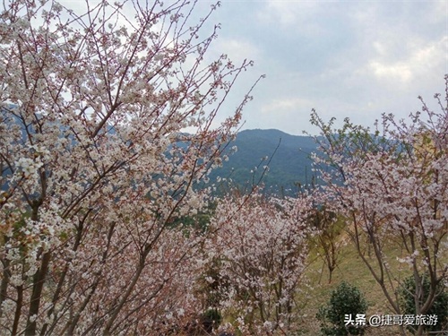 福建省 漳州市 长泰县 十里蓝山