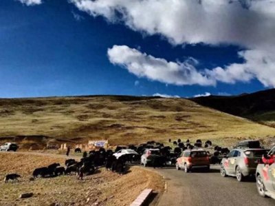 在川藏线上,有举着写有“求RB”牌子的女游客,究竟是什么意思?