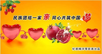 「发声亮剑·八」坚决贯彻落实总目标、维护社会稳定和长治久安