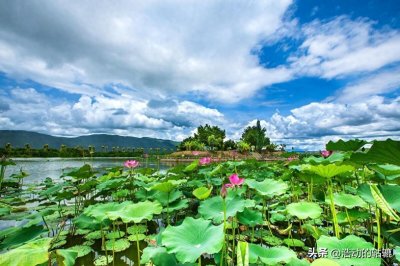 为什么很多枣庄人去滕州买房子