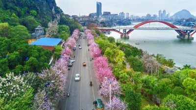 《趣学柳州话》<序>:传承乡音,势在必行