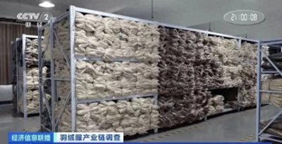 今日国内外十大热点新闻速递