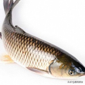 味道一流的黄焖鱼,好吃又养胃