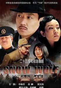 ​《雪狼》冰雪之境展生死博弈，人与自然共谱传奇！
