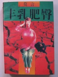 《丰乳肥臀》究竟值得一看吗?