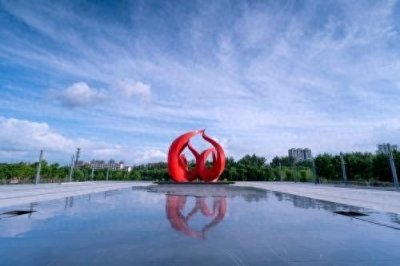 肥城:“十大行动”推进就业人才事业走在前开新局