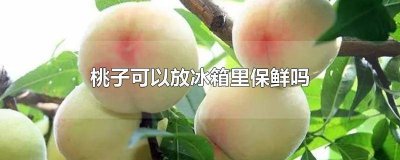 ​桃子可不可以放冰箱保鲜 桃子需要放冰箱里保鲜吗