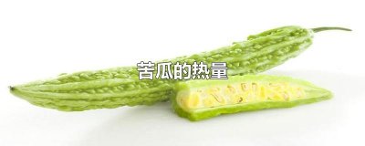 苦瓜的热量