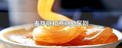 麦芽糖和蔗糖的区别