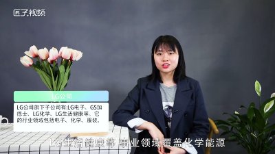 lg公司是做什么的