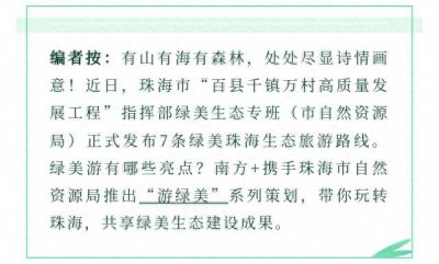 ​国庆海岛游，珠海这4个绝美海岛不可错过｜游绿美②
