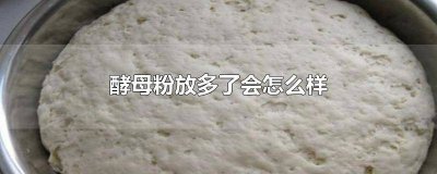 ​发酵时酵母粉放多了有影响吗 酵母粉加多了会怎么样