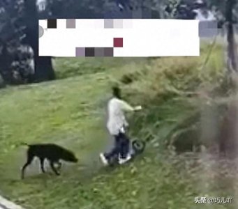 女子和三岁女儿被4条恶犬咬成重伤。腿上肉被狗吃了,后背有大洞