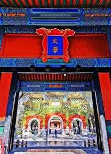 ​汉朝的文化辉煌：太学的扩建与教育的兴起