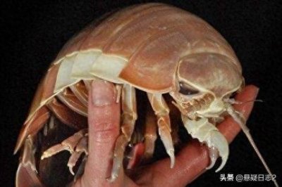 ​鬼吹灯有哪些厉害的角色？揭秘鬼吹灯十大BOSS级角色