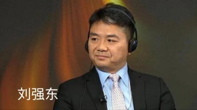 ​刘强东财富跳水，2024胡润全球富豪榜上仅剩495亿，能重回巅峰吗