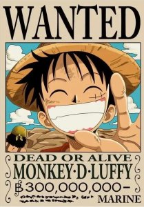 五本海贼王同人小说合辑:该怎么写好动漫同人小说?