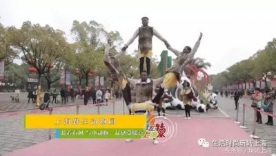 踏青好去处 ,上海野生动物园