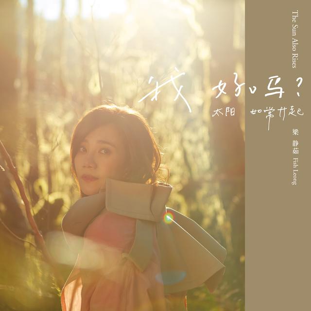 梁静茹结束了九年的婚姻(梁静茹宣布离婚)(10)