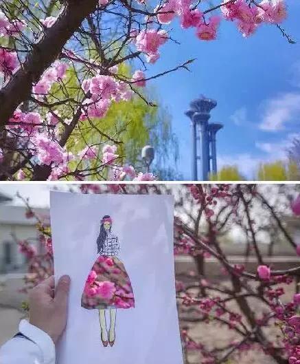 3月赏花去处推荐（周末去哪儿好玩还不贵）(9)