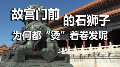 ​故宫门前的石狮子为何都“烫”着卷发？原来大有讲究