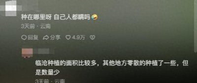 ​夏威夷果最大产地在云南？原来是云南人用实力把价格打下来的!