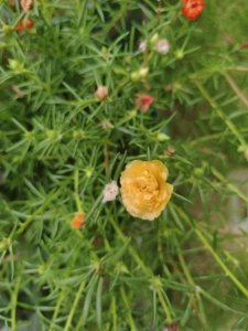 ​文化事业建设费相关政策分析