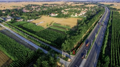 ​河北省馆陶县寿东粮画小镇