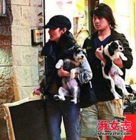 6只猫狗随主人分家 6只猫狗随主人分家