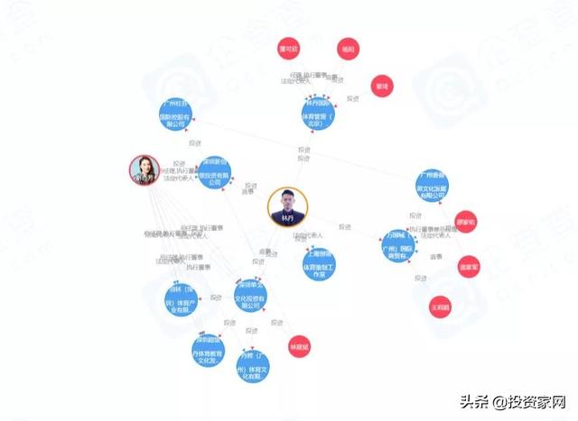 林丹退役后还能进娱乐圈吗 退役的林丹名下10多家公司(5)