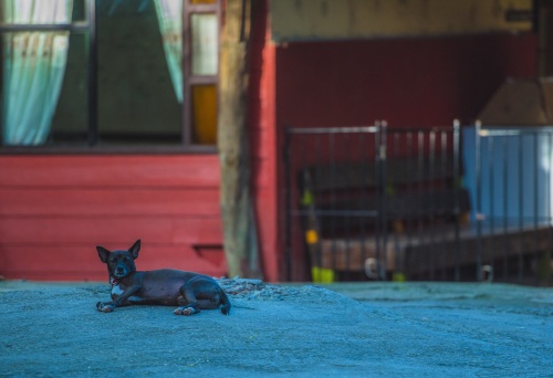 东南亚旅游新去处,安静的菲律宾薄荷岛