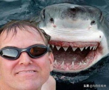 ​12张淡定无比的自拍照，遇到凡事不要慌，先拿出手机，来张自拍