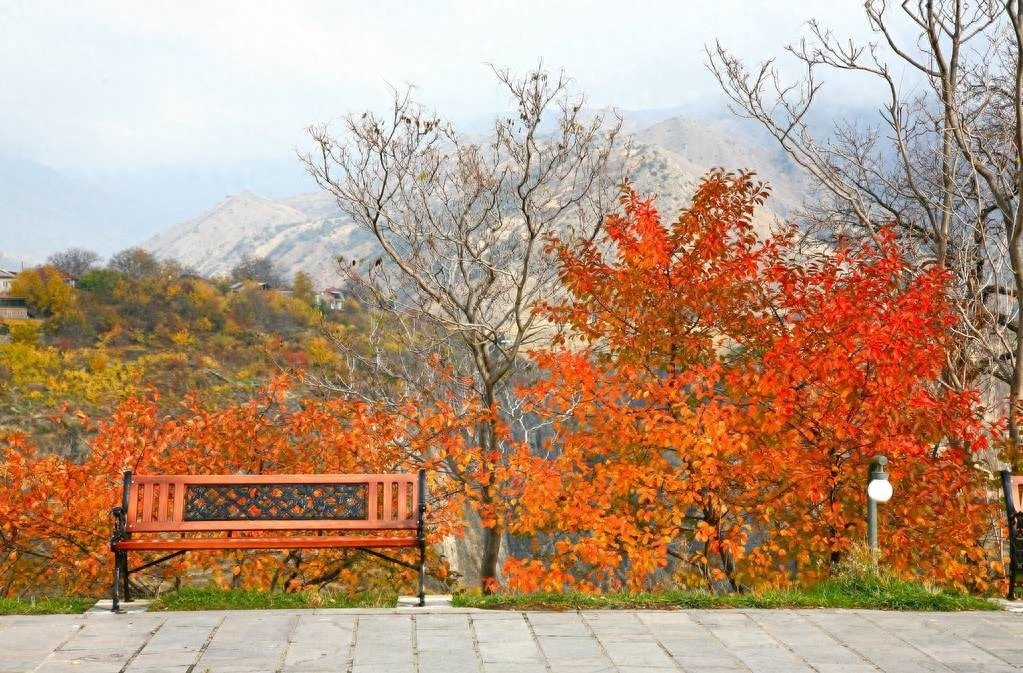 埃里温（Yerevan）（亚美尼亚）