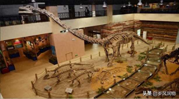 河北地质大学教务系统登录(您听说过河北地质大学吗?)