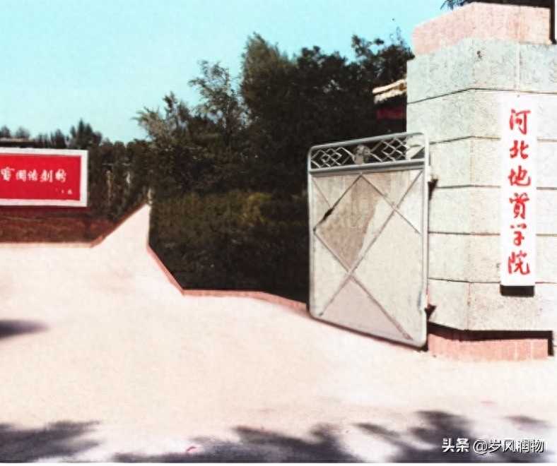 河北地质大学教务系统登录(您听说过河北地质大学吗?)