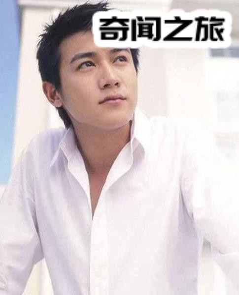 陆毅年轻时候的图片(陆毅颜值最高的一张照片)(6)_