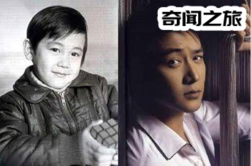 陆毅年轻时候的图片(陆毅颜值最高的一张照片)(2)_