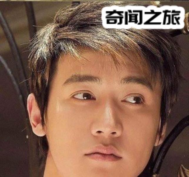 陆毅年轻时候的图片(陆毅颜值最高的一张照片)(1)_