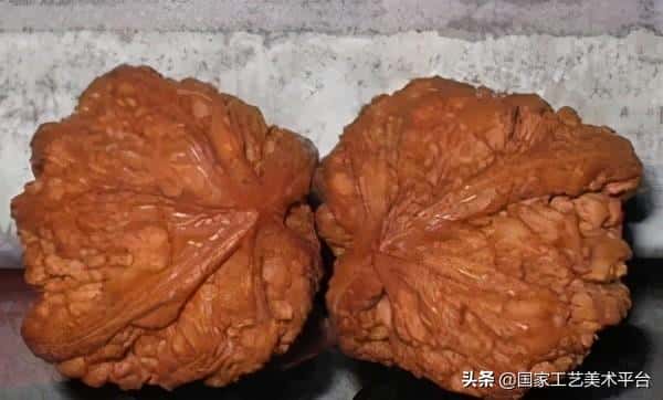 什么核桃适合把玩(手玩的核桃什么样的最好)