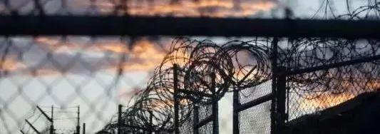 娘对即将被执行安乐死的儿子喊：念阿弥陀佛！大声念！