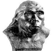 解密这些被人说是未解之谜的东西, 有理否?