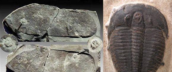 解密这些被人说是未解之谜的东西, 有理否?