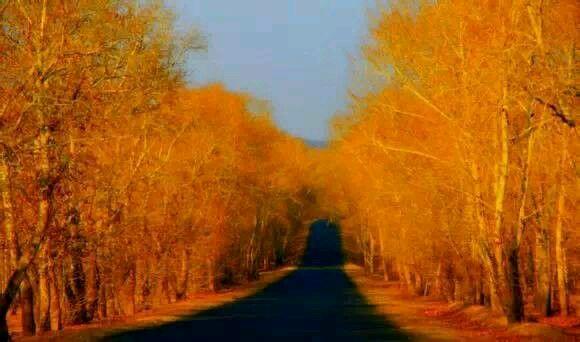 张家口都有什么美好的地方(如果张家口是一个世界)(52)