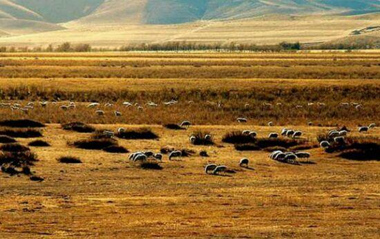 张家口都有什么美好的地方(如果张家口是一个世界)(58)