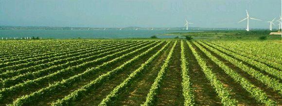 张家口都有什么美好的地方(如果张家口是一个世界)(29)