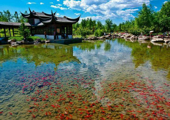 张家口都有什么美好的地方(如果张家口是一个世界)(11)