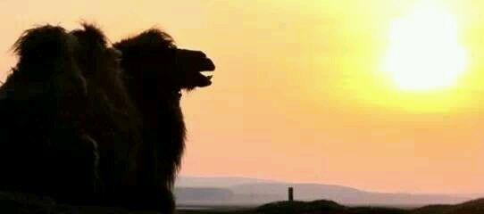 张家口都有什么美好的地方(如果张家口是一个世界)(24)